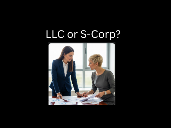 LLC or S-Corp